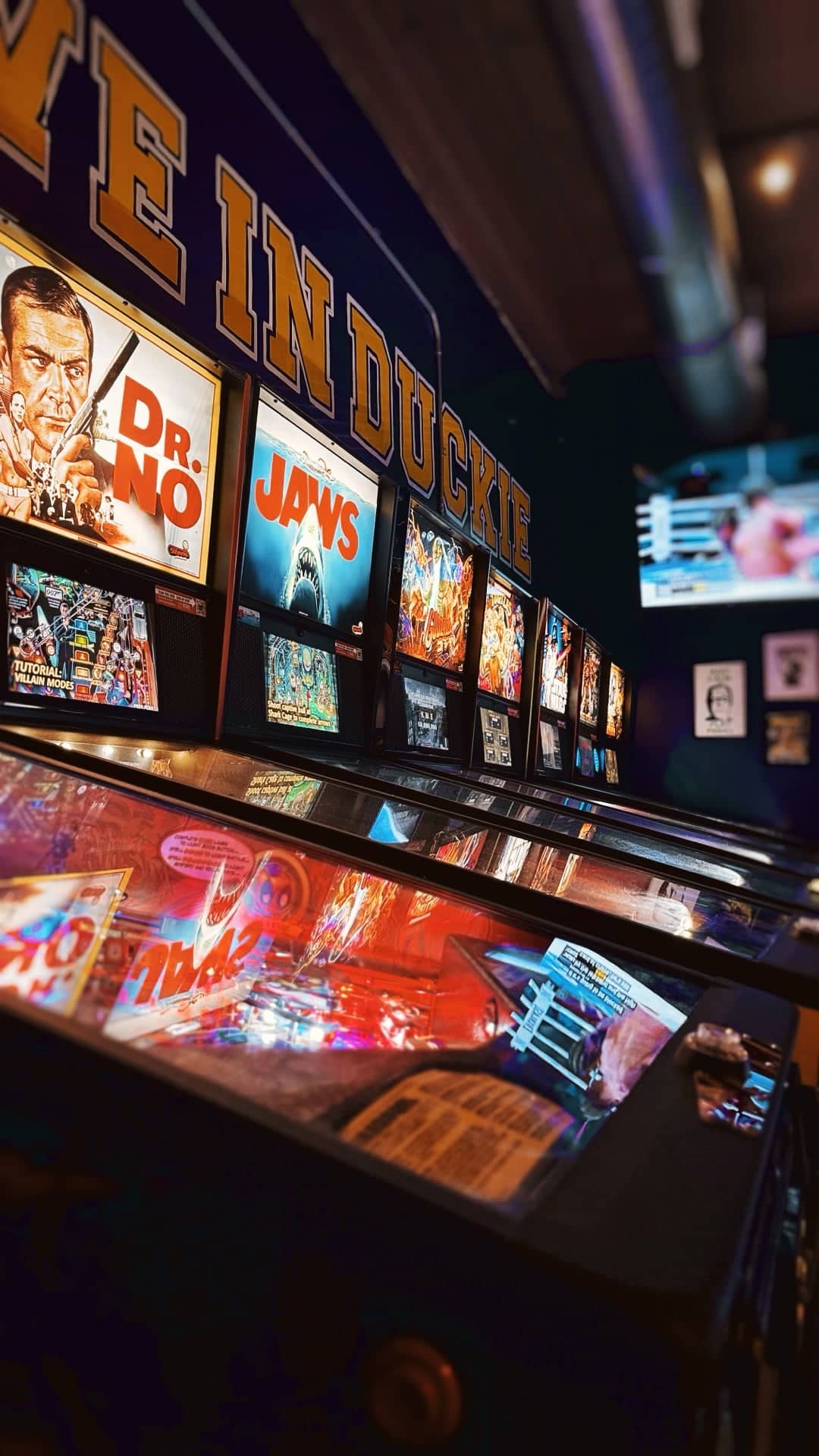 Duckie's Revenge Retro Arcade