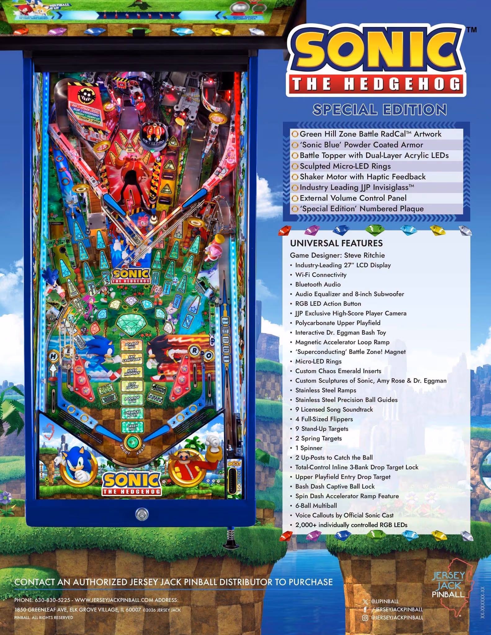 Sonic the Hedgehog flyer 4