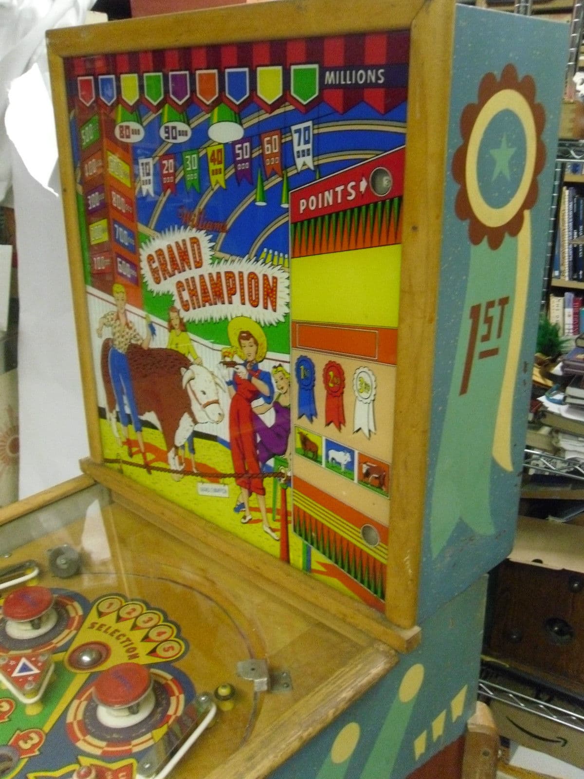 Grand Champion - photo 4