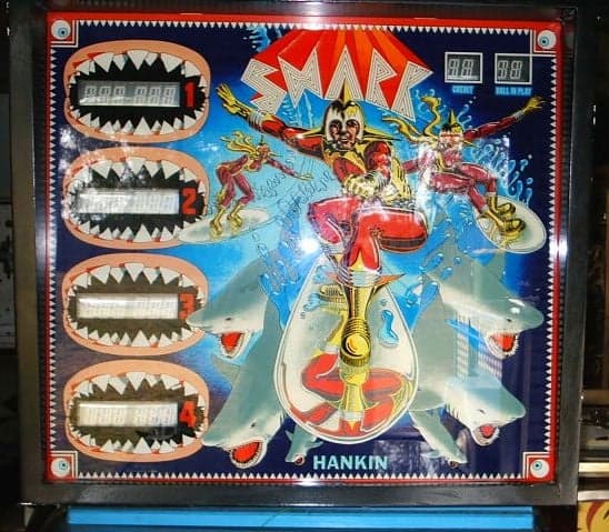 Shark thumbnail 5