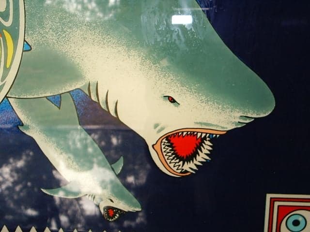 Shark thumbnail 3