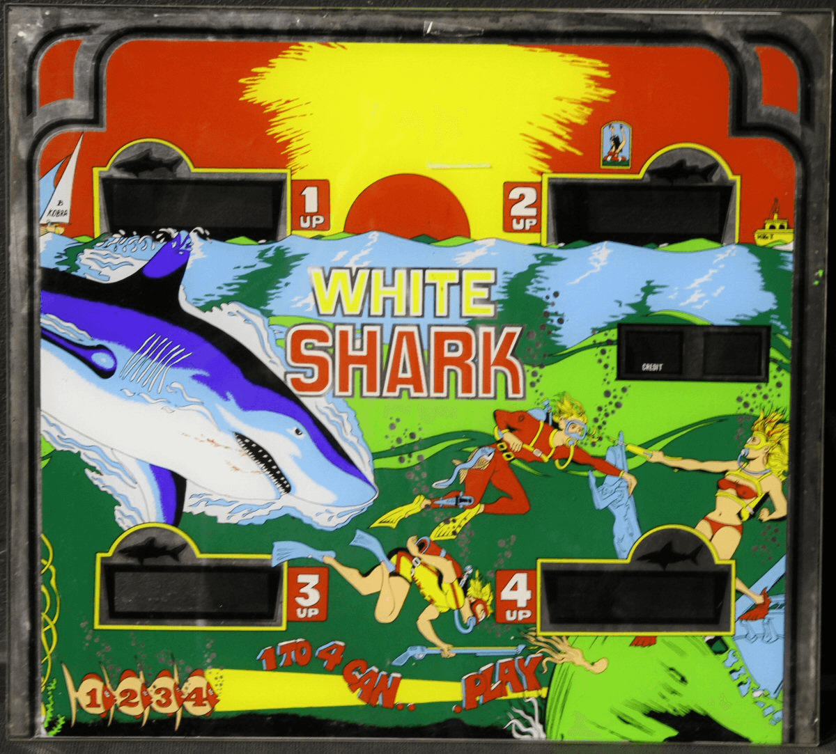 White Shark - photo 2