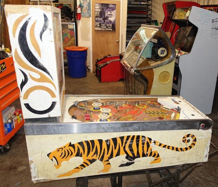 Tiger - photo 10