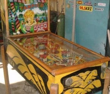 Tampico - photo 4