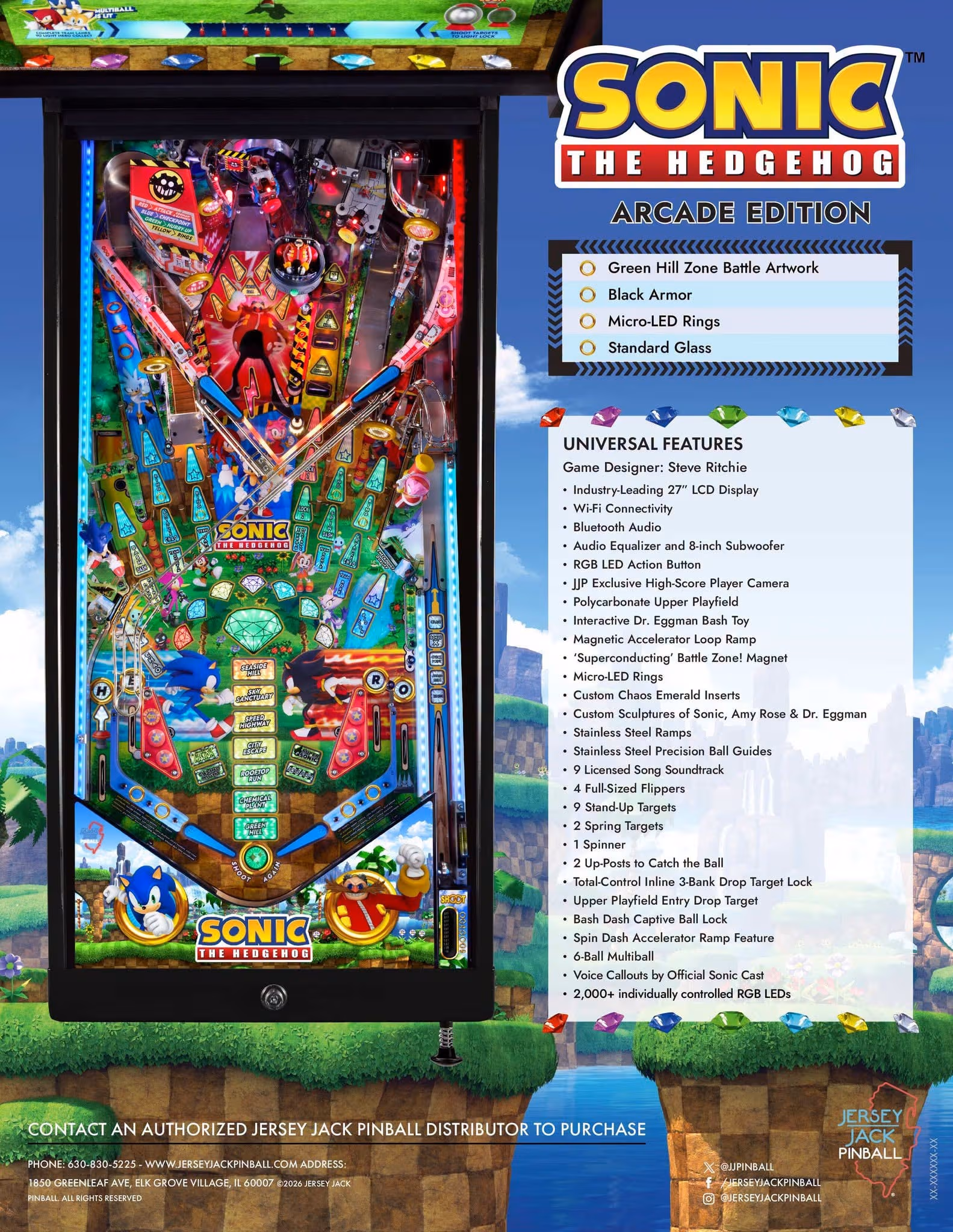Sonic the Hedgehog flyer 1