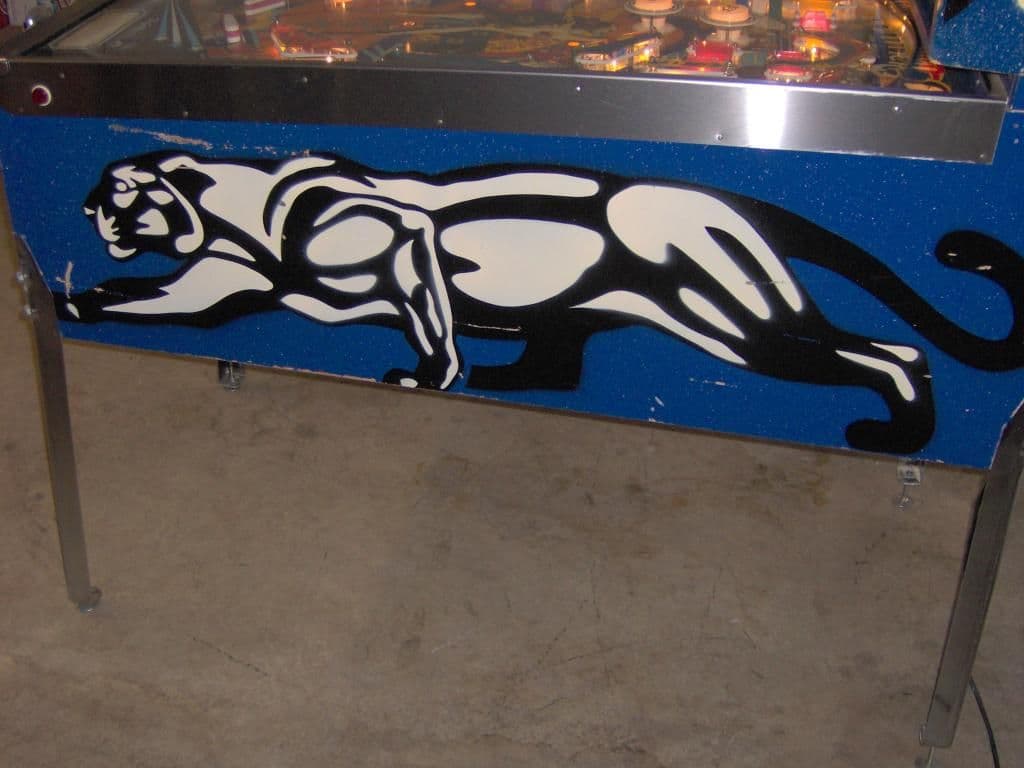 Panthera - photo 9
