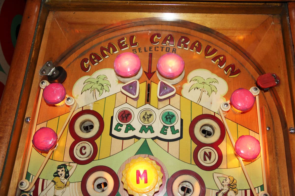 Camel Caravan thumbnail 5