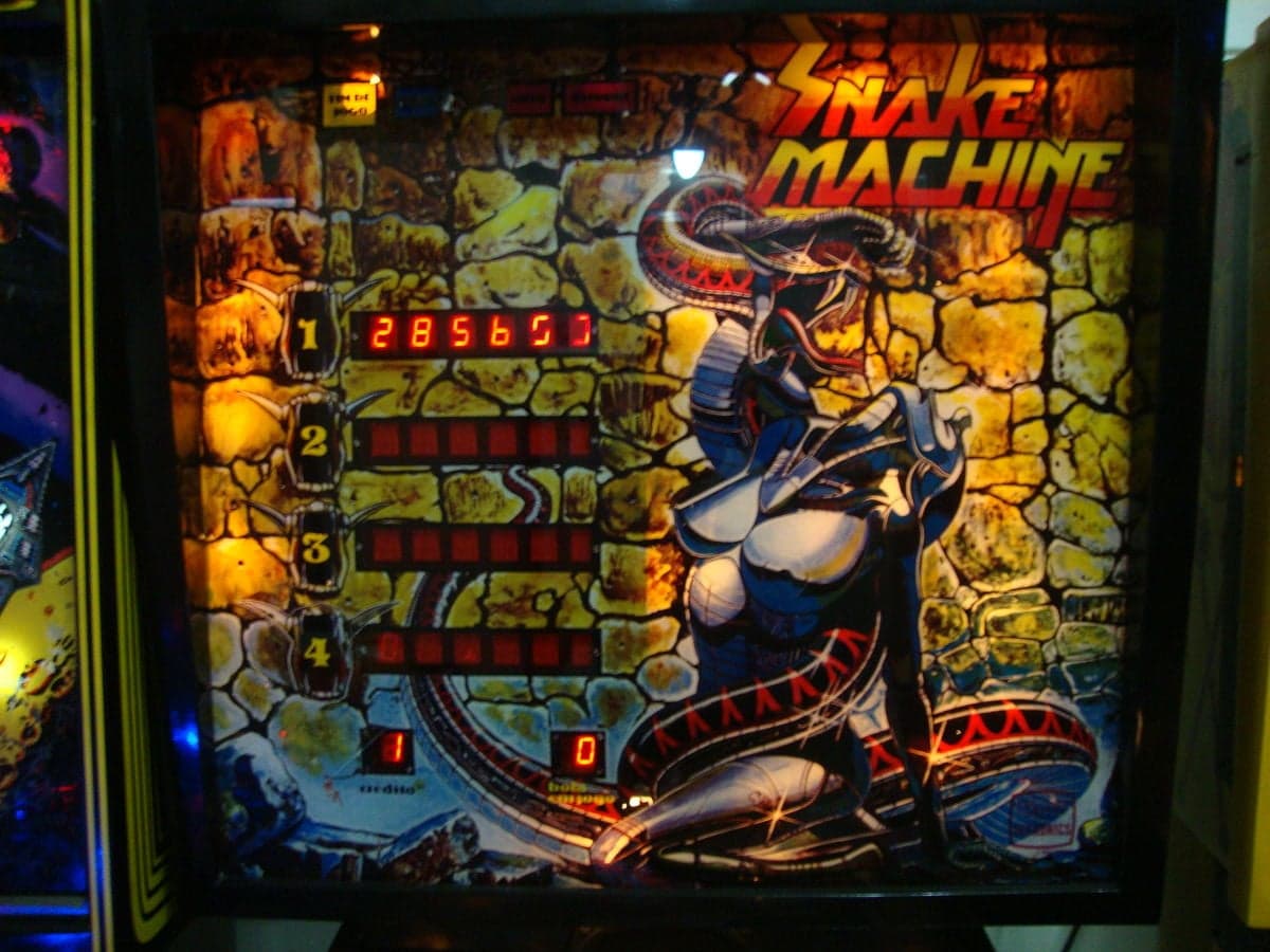 Snake Machine - photo 2