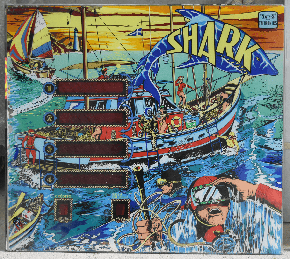 Shark - photo 2