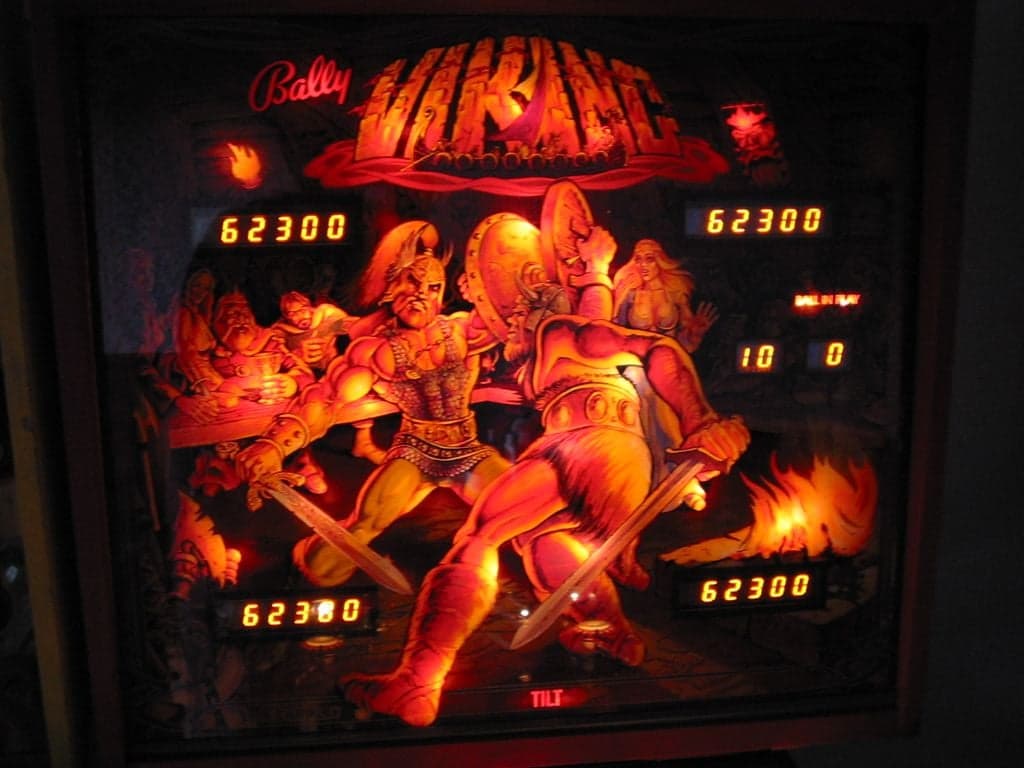 Viking - photo 31