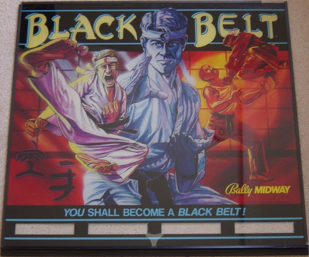 Black Belt / Karate Fight thumbnail 5