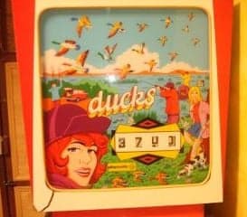 Ducks - photo 2