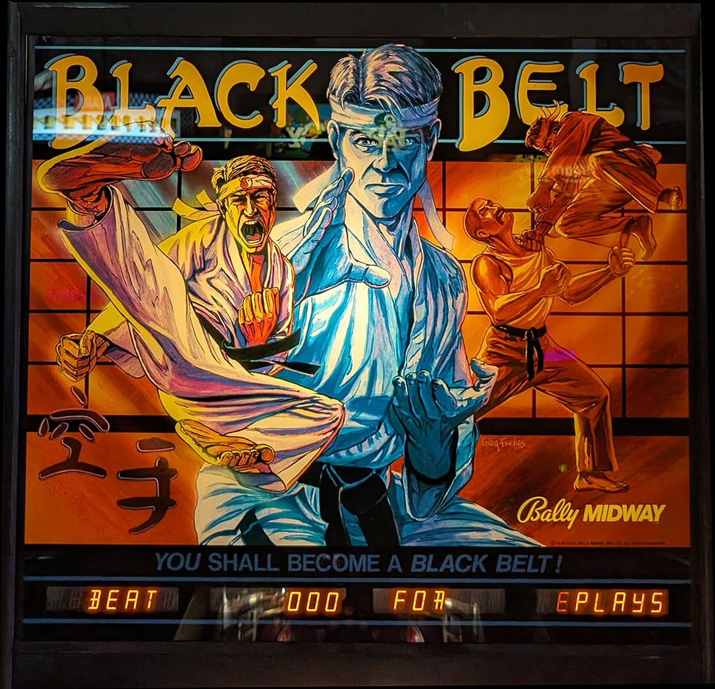 Black Belt / Karate Fight photo 3