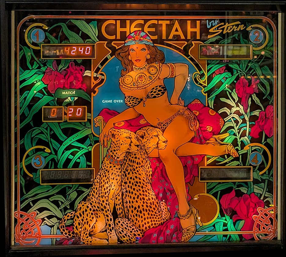 Cheetah photo 2