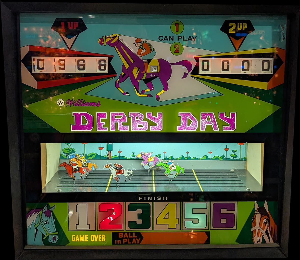 Derby Day photo 2
