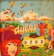 Ducks photo 1