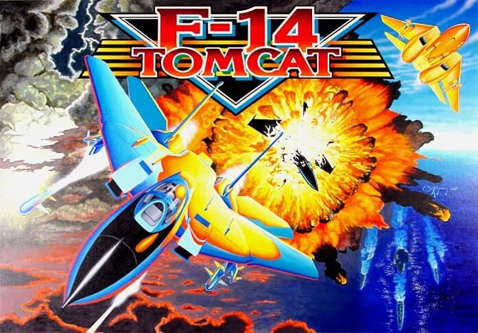 F-14 Tomcat photo 2