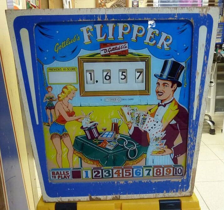 Flipper photo 2