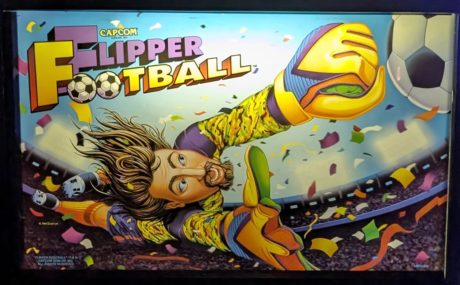 Flipper Football photo 3