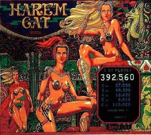 Harem Cat photo 1