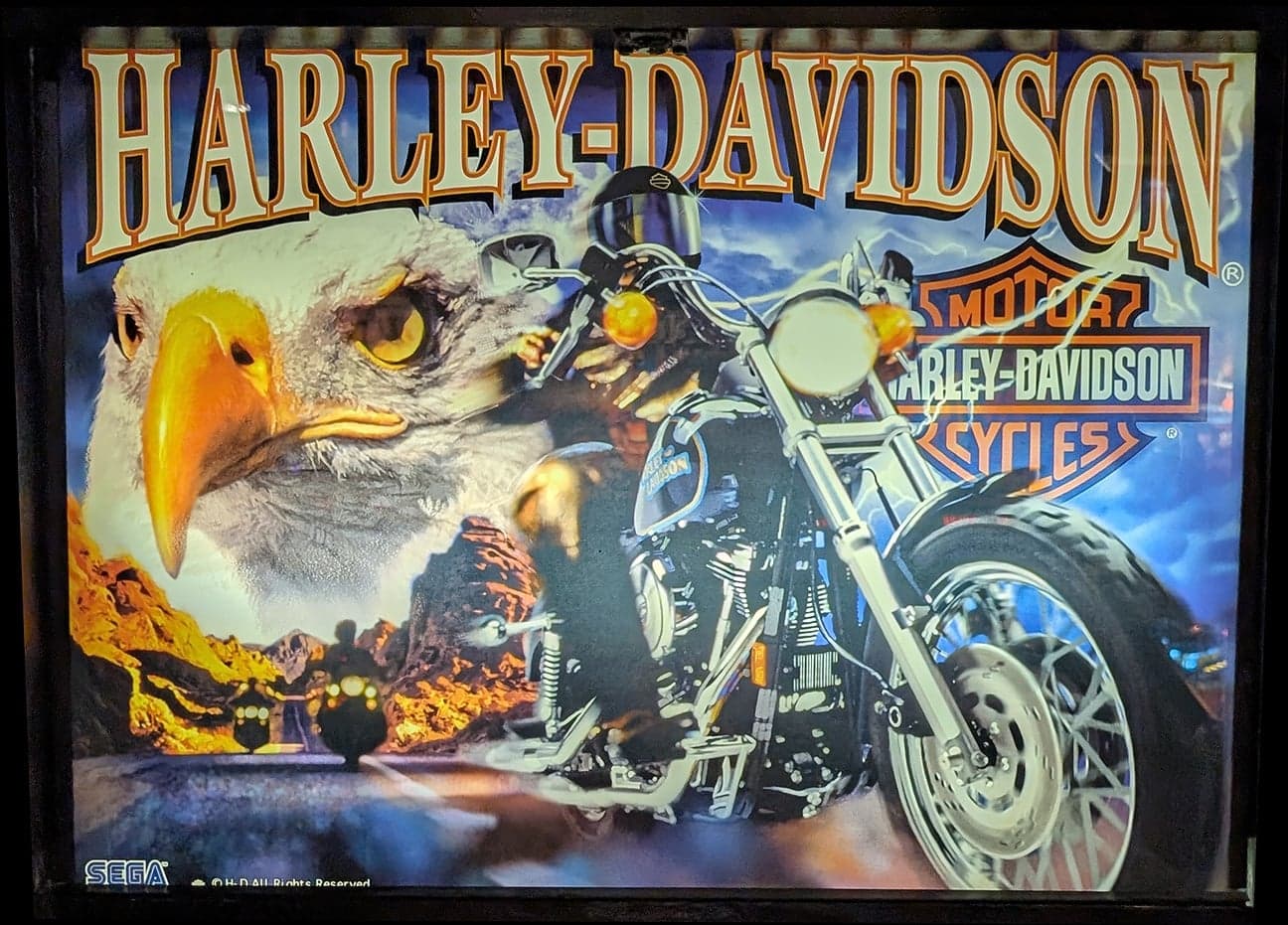 Harley Davidson photo 4