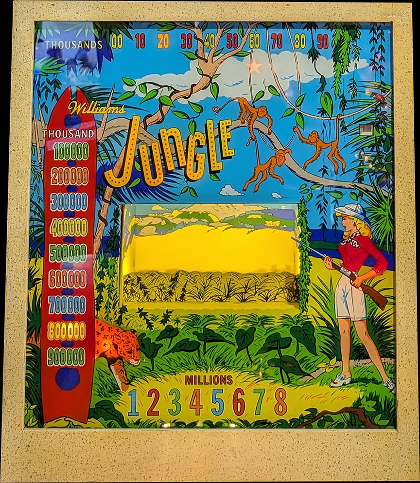 Jungle photo 2