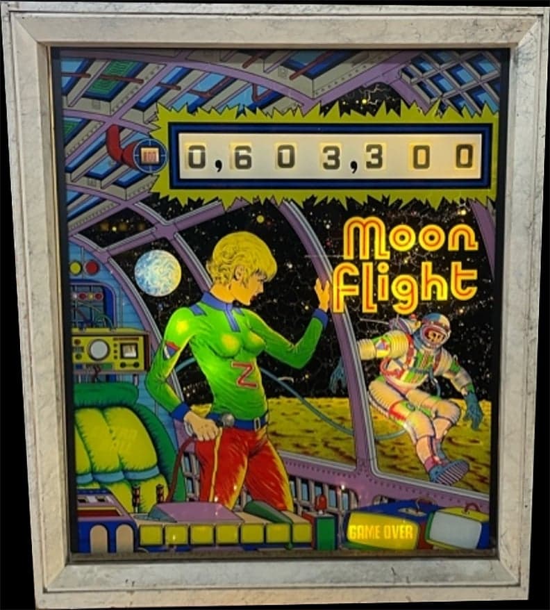Moon Flight photo 1
