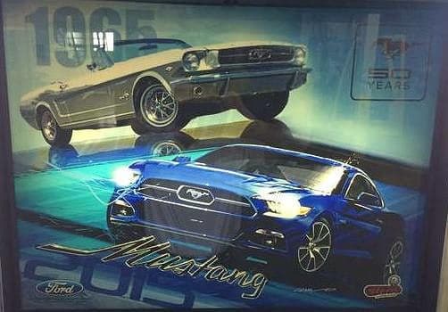 Mustang photo 4