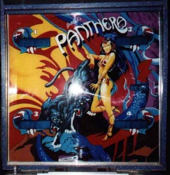 Panthera photo 2