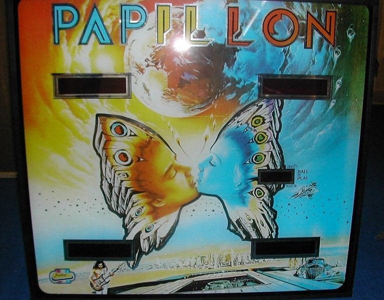 Papillon photo 3