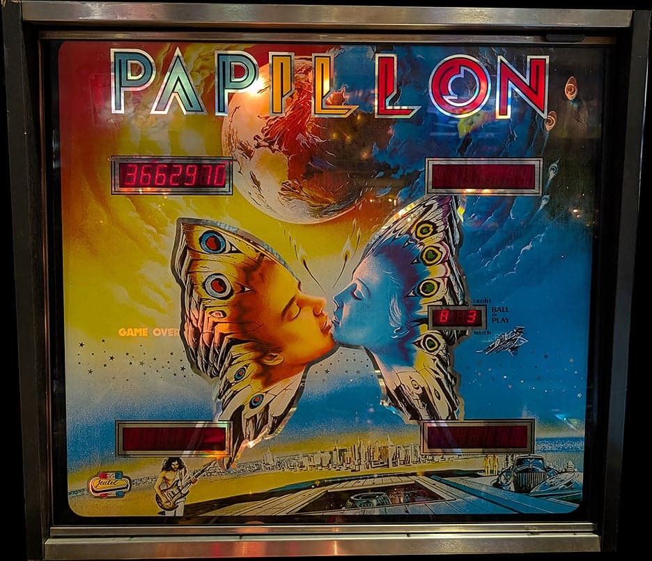 Papillon photo 2