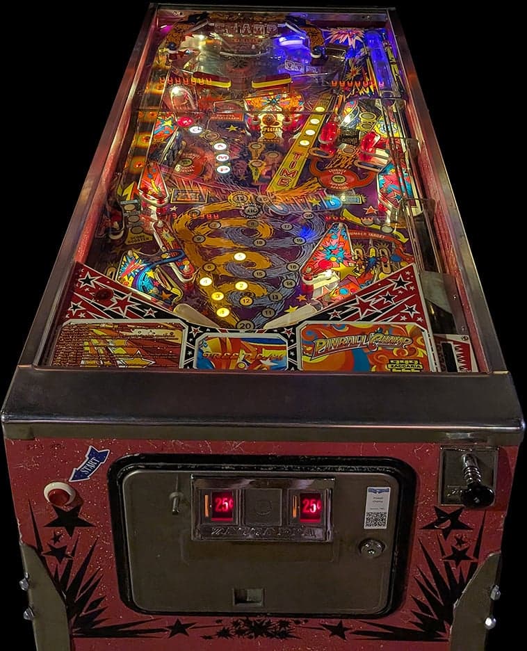 Pinball Champ photo 1