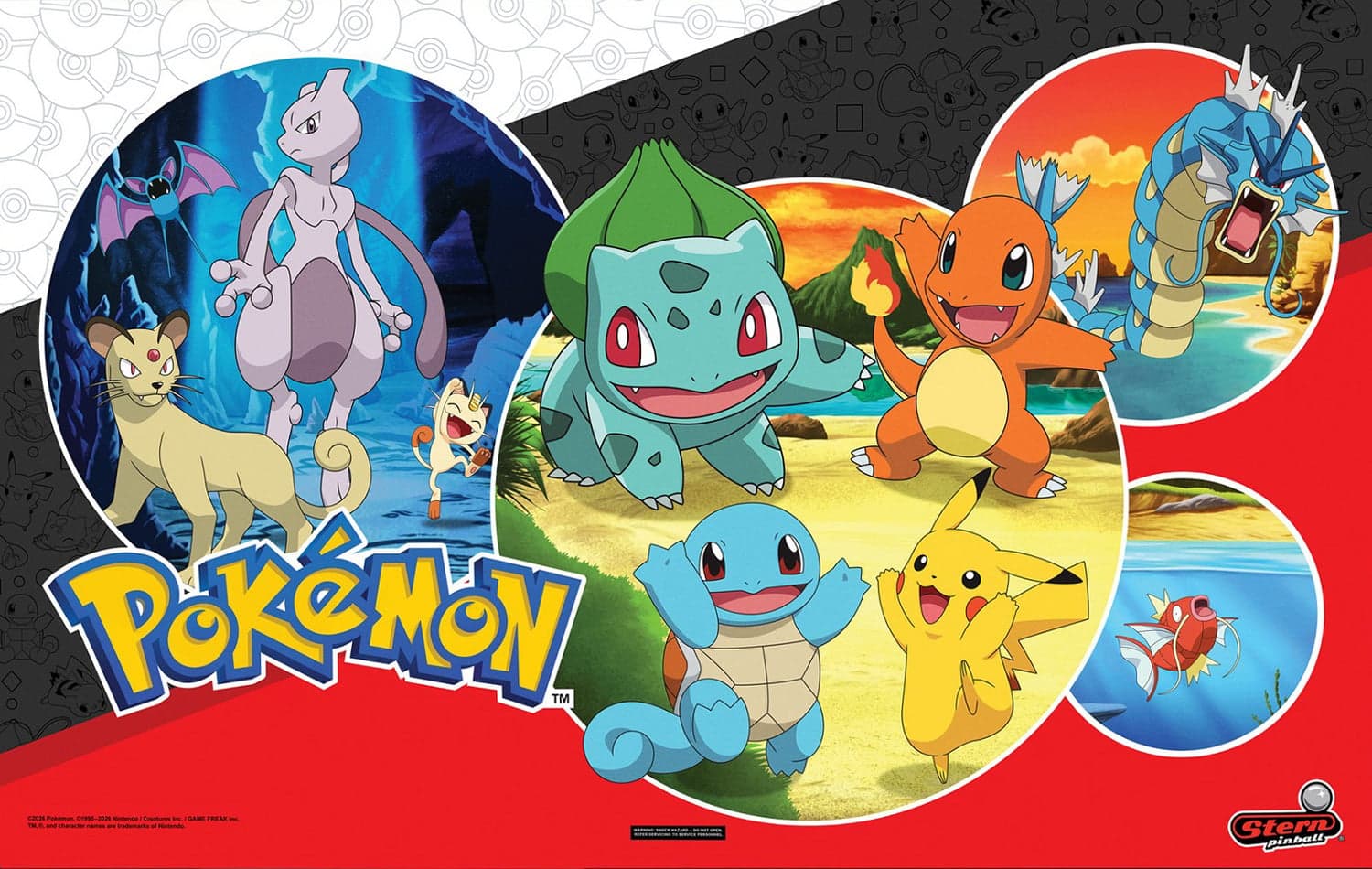 Pokémon photo 8