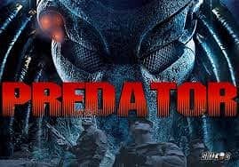 Predator photo 1