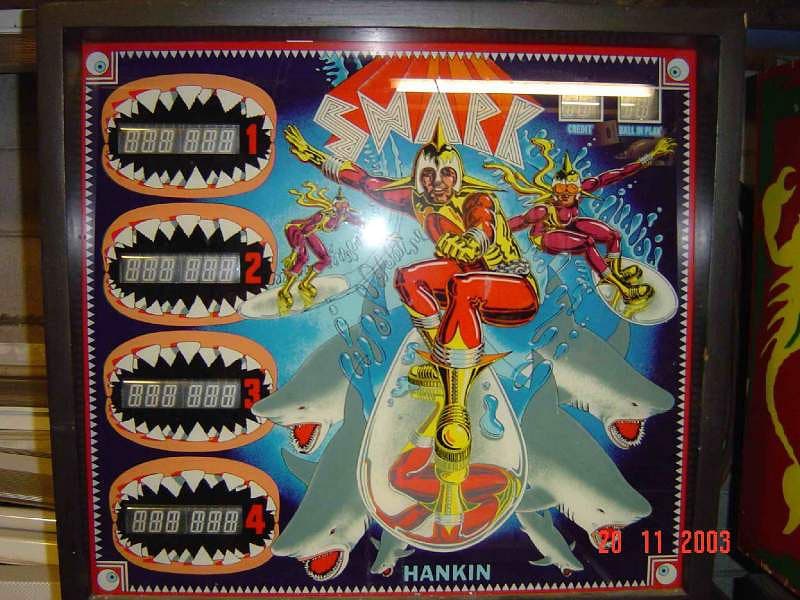 Shark photo 3
