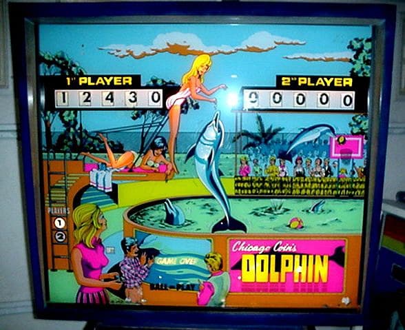 Showtime / Dolphin photo 1