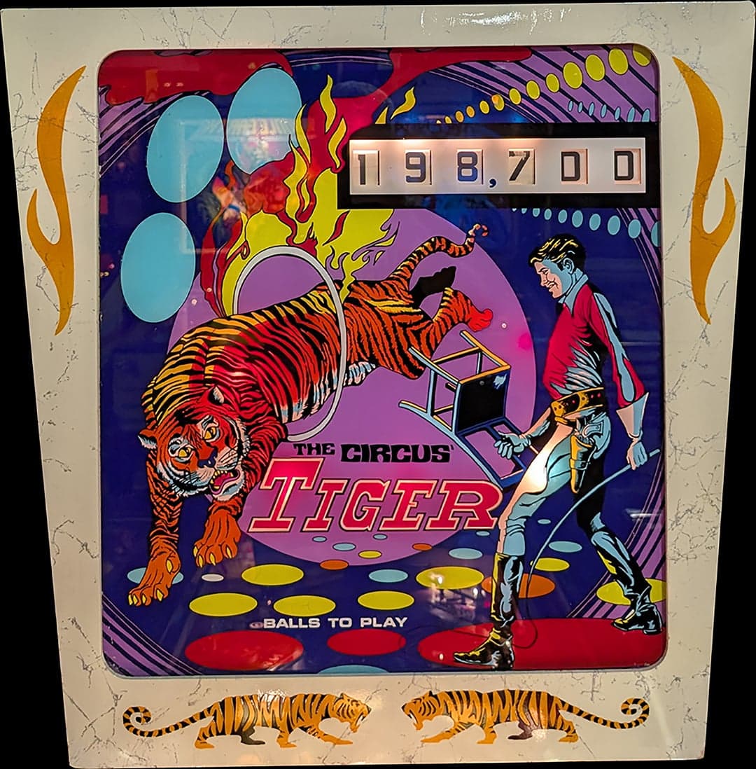Tiger photo 1