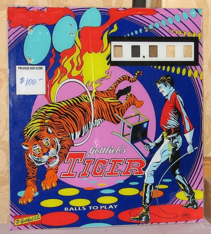 Tiger photo 3