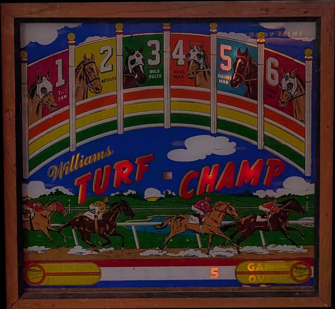 Turf Champ photo 1