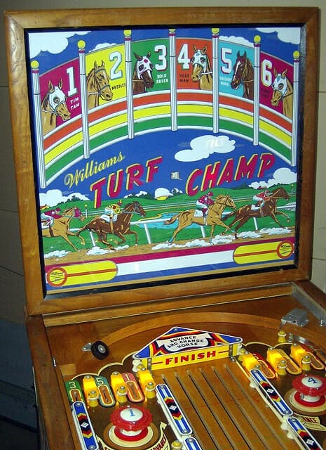 Turf Champ photo 2