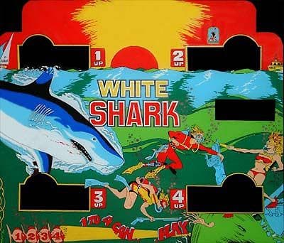White Shark photo 1