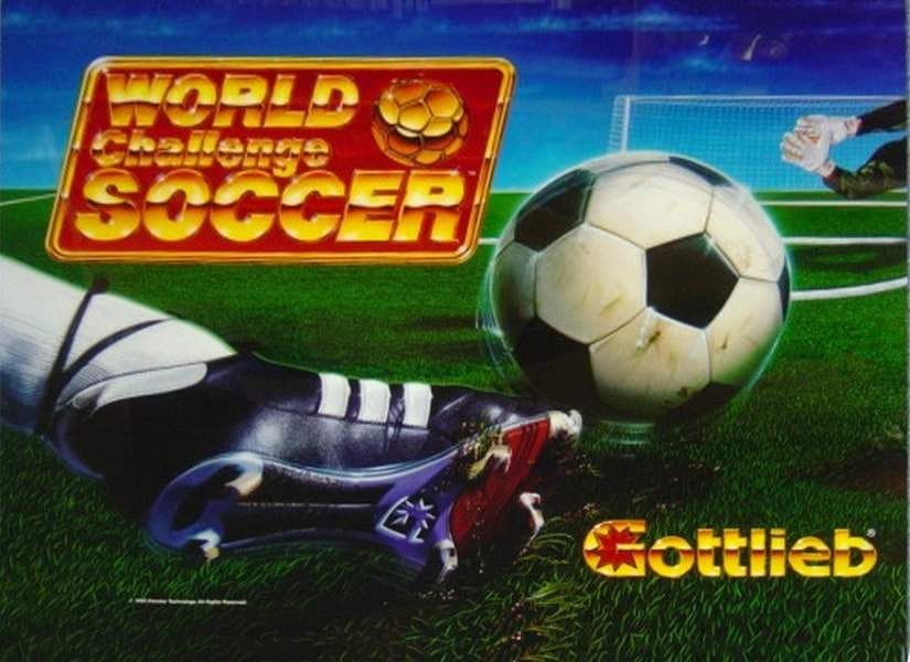 World Challenge Soccer photo 1