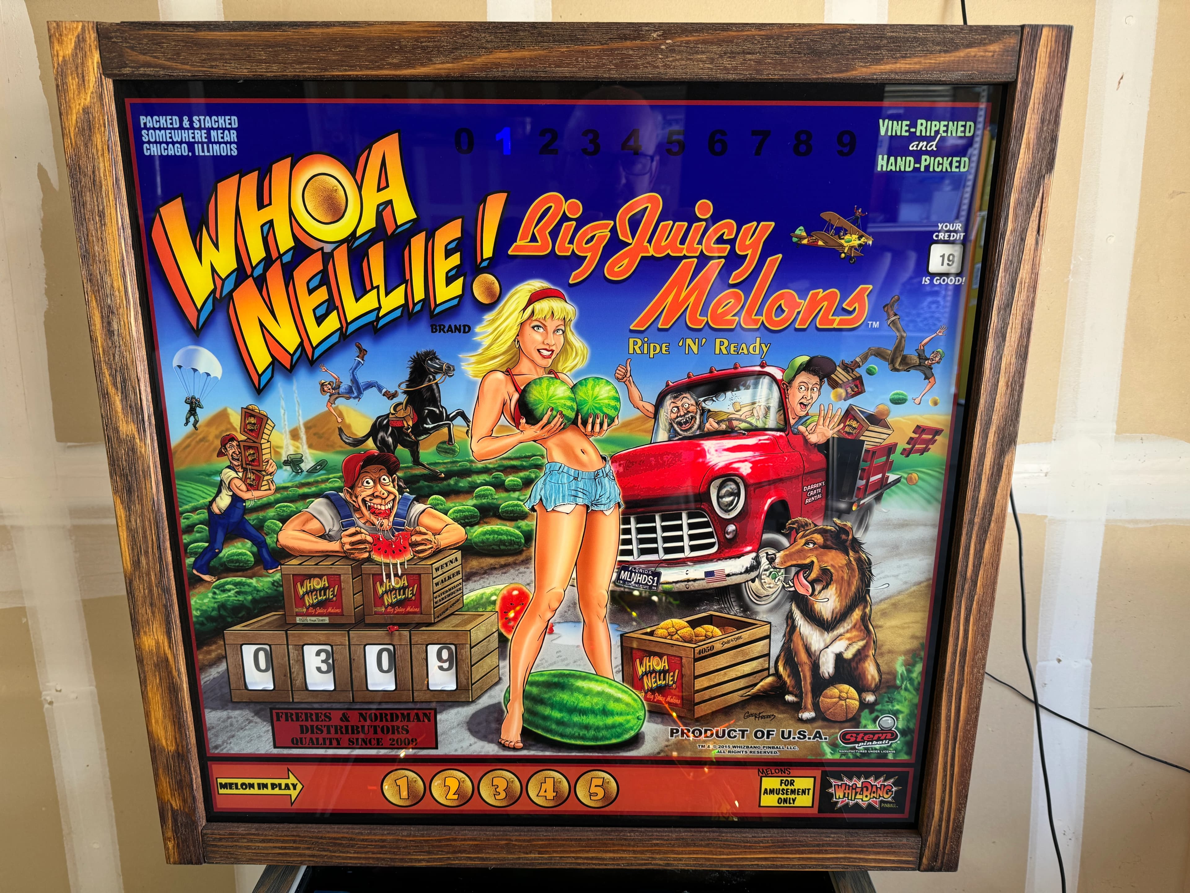 Whoa Nellie / PBR - photo 13