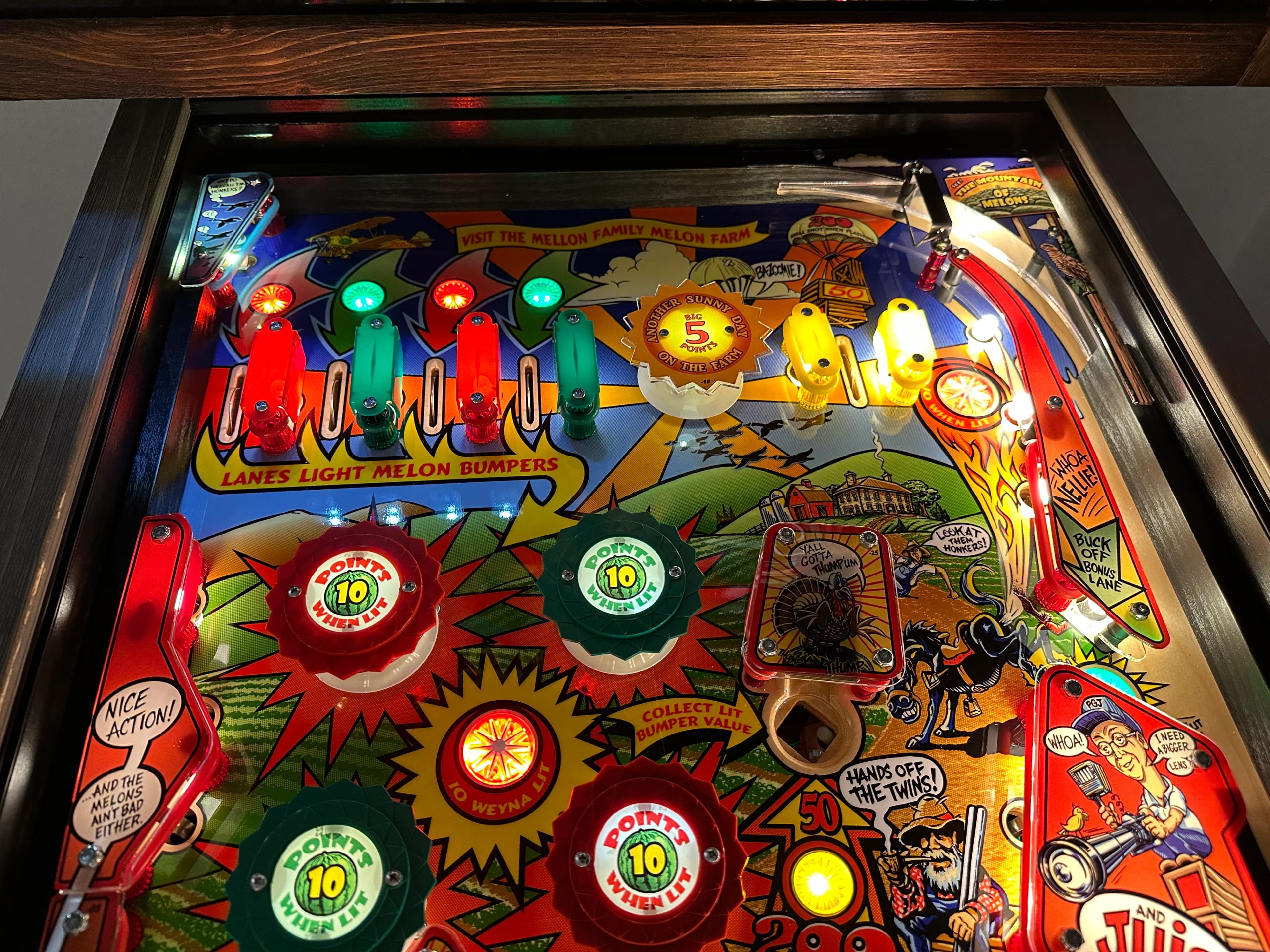 Whoa Nellie / PBR - photo 2