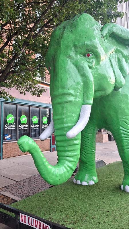 Dumb Records photo 1