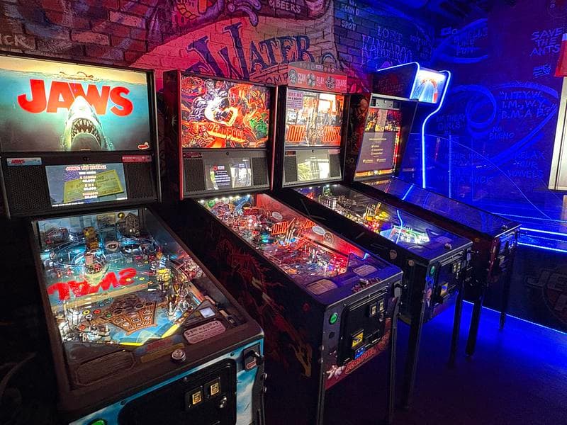 Lost Kangaroo photo 1