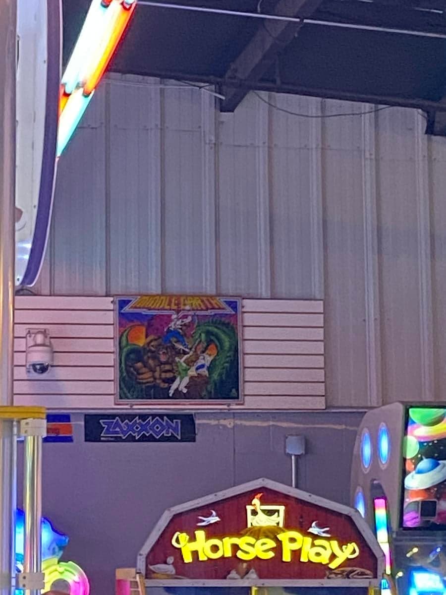 Palace Playland photo 3