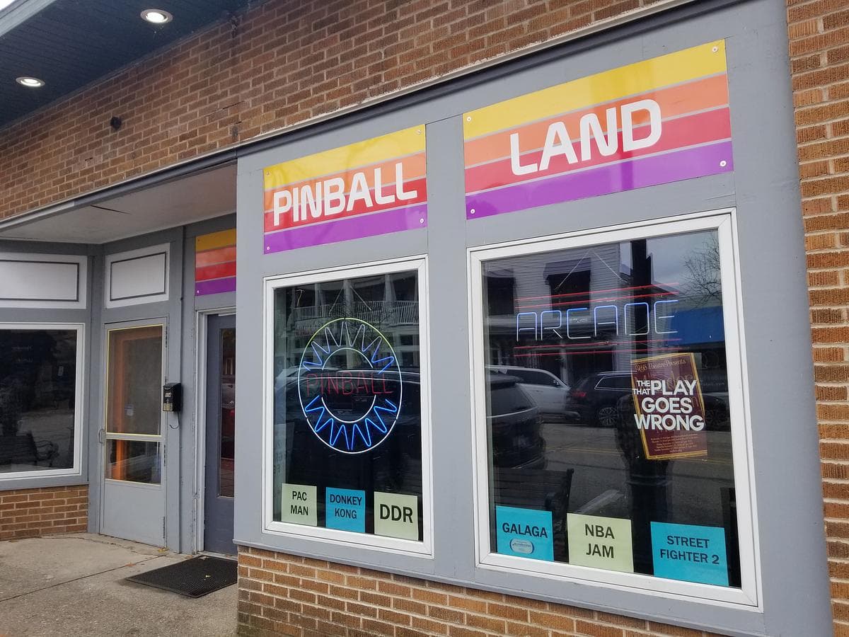 Pinball Land photo 1