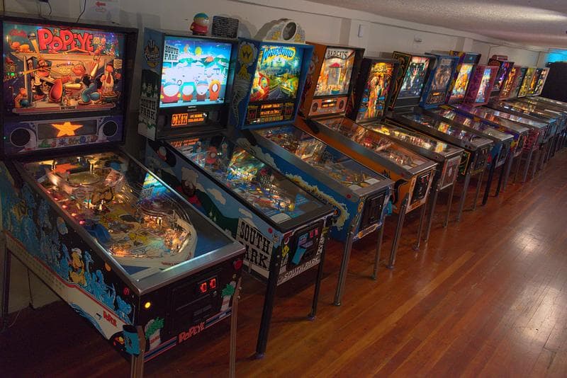 Pinbug Pomona photo 1