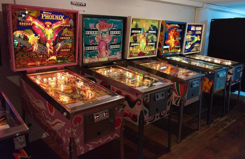 Pinbug Pomona photo 3